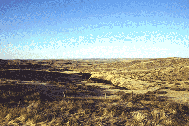 [image: Cheyenne County fields, from Kansas Geological Survey]