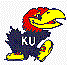 Kansas Jayhawk